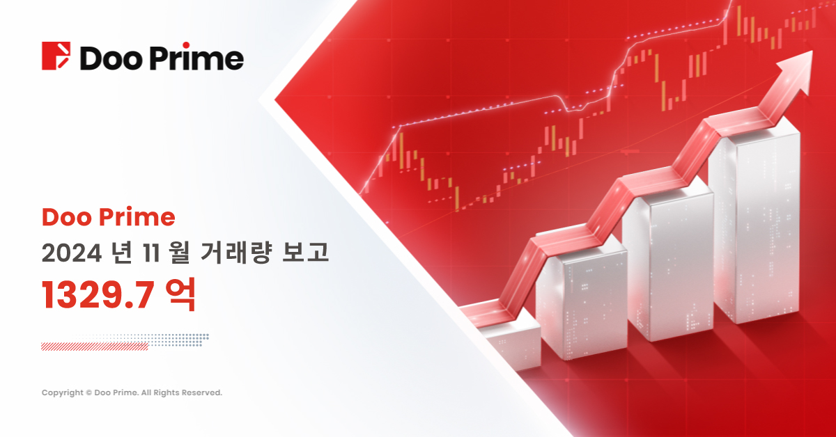 Doo Prime 2024년 11월 거래량 보고서 